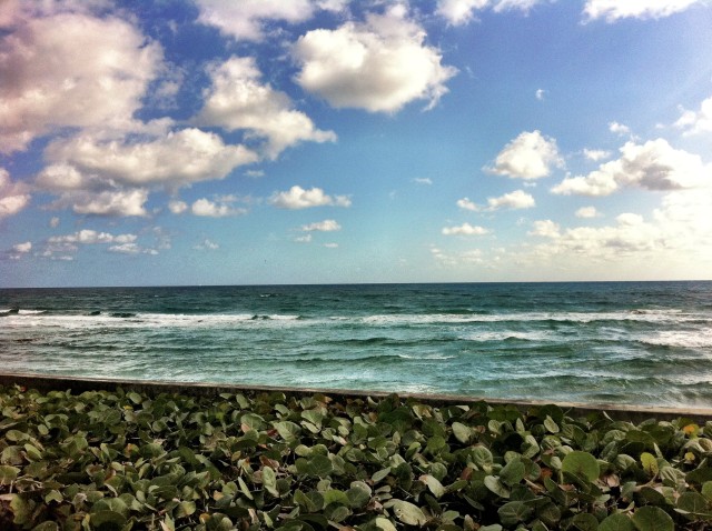 The view along A1A highway